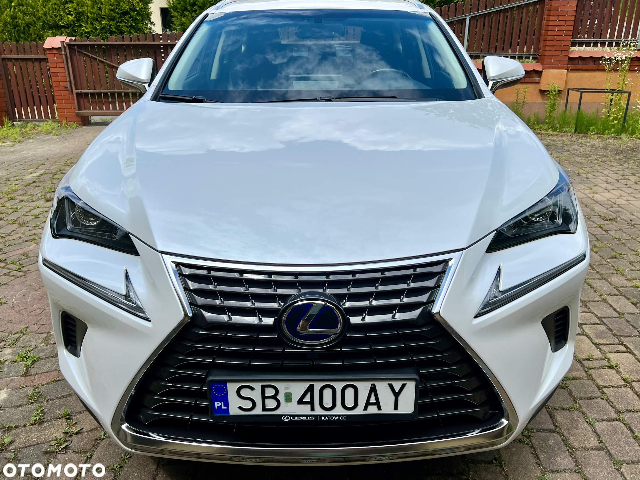 Lexus NX 300h Elegance + Business AWD - 8