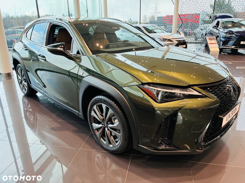 Lexus UX 300h F Sport Design - 8