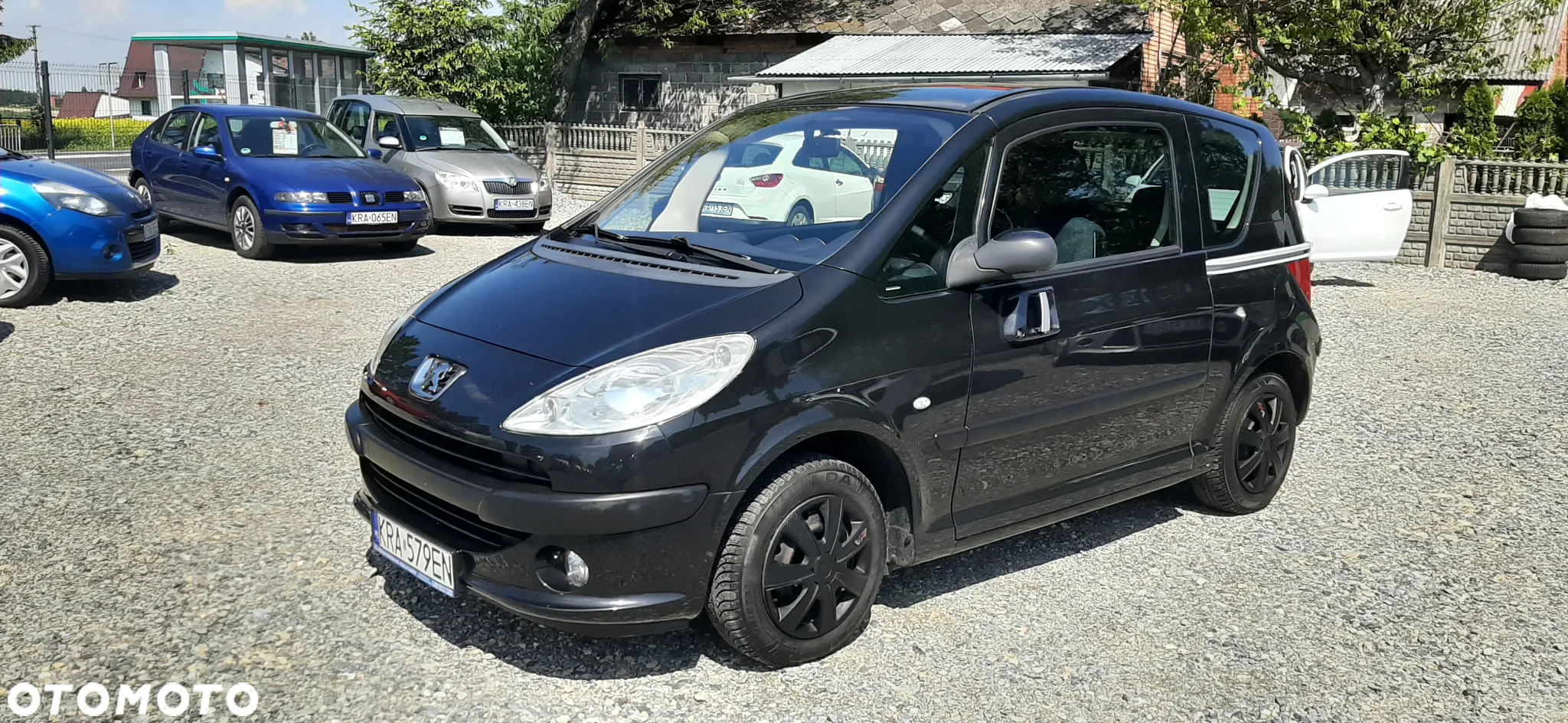 Peugeot 1007 - 18