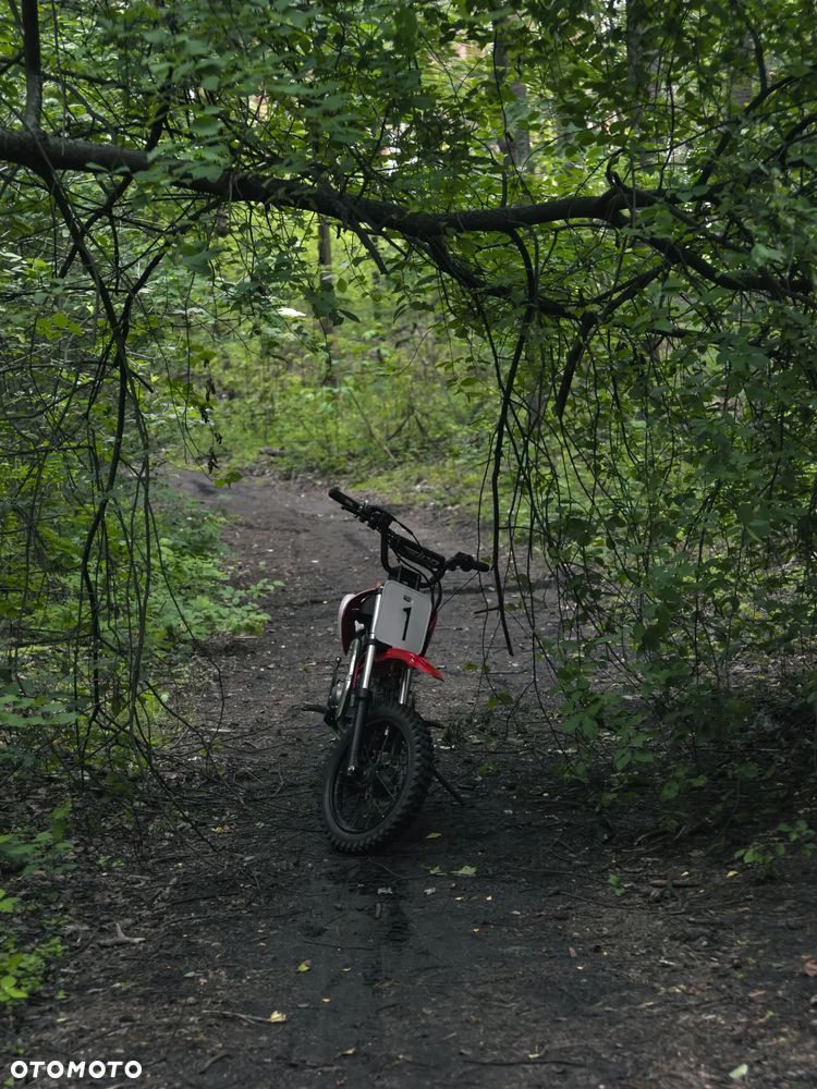 Zipp Inny - 14