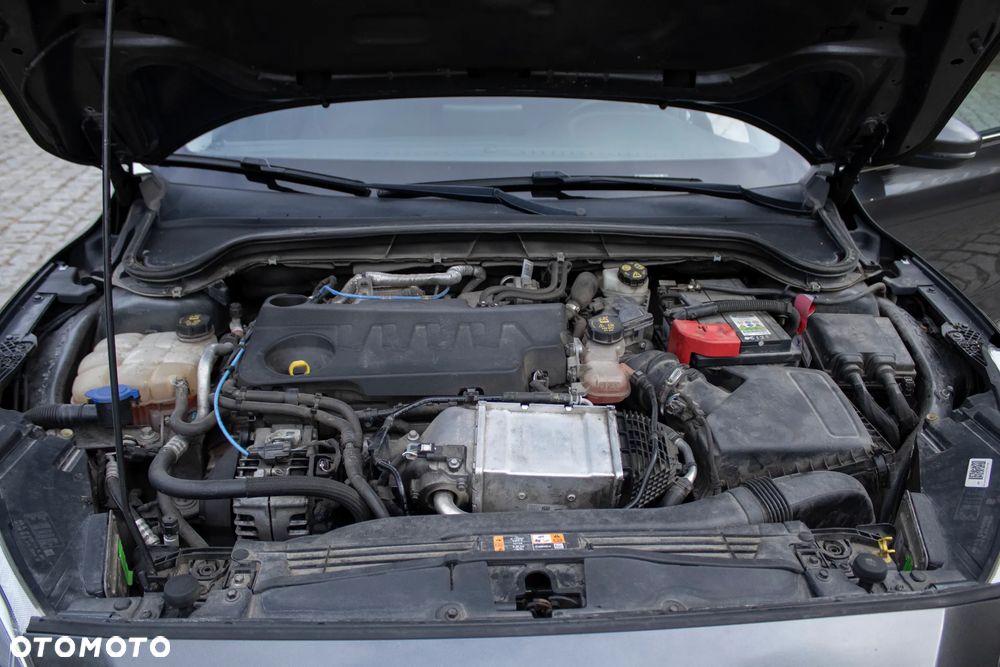 Ford Focus 2.0 EcoBlue Titanium Business - 19