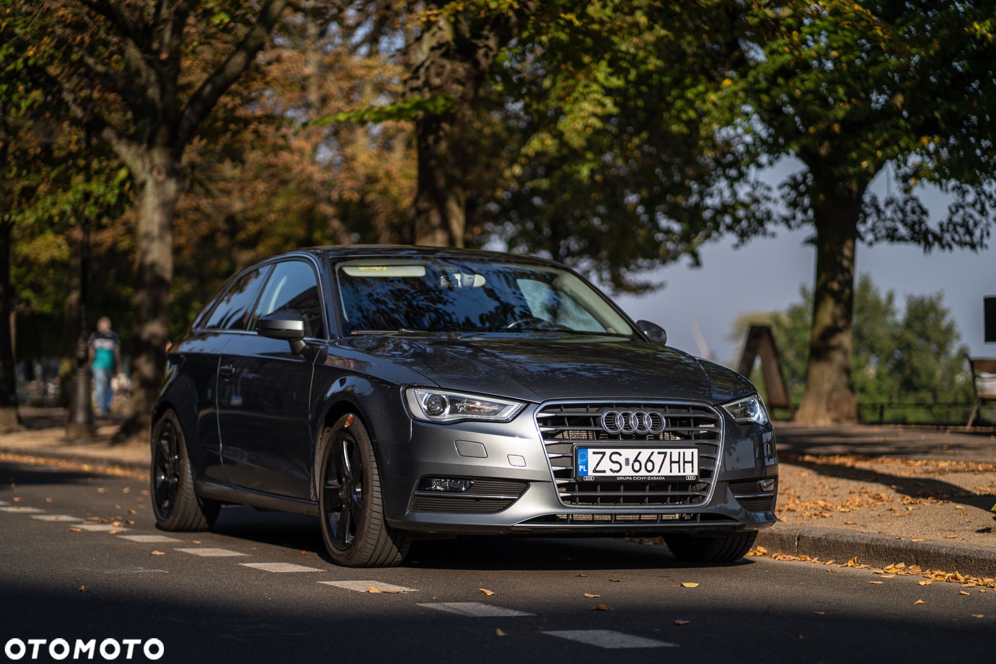 Audi A3 2.0 TDI clean diesel Ambition S tronic - 1