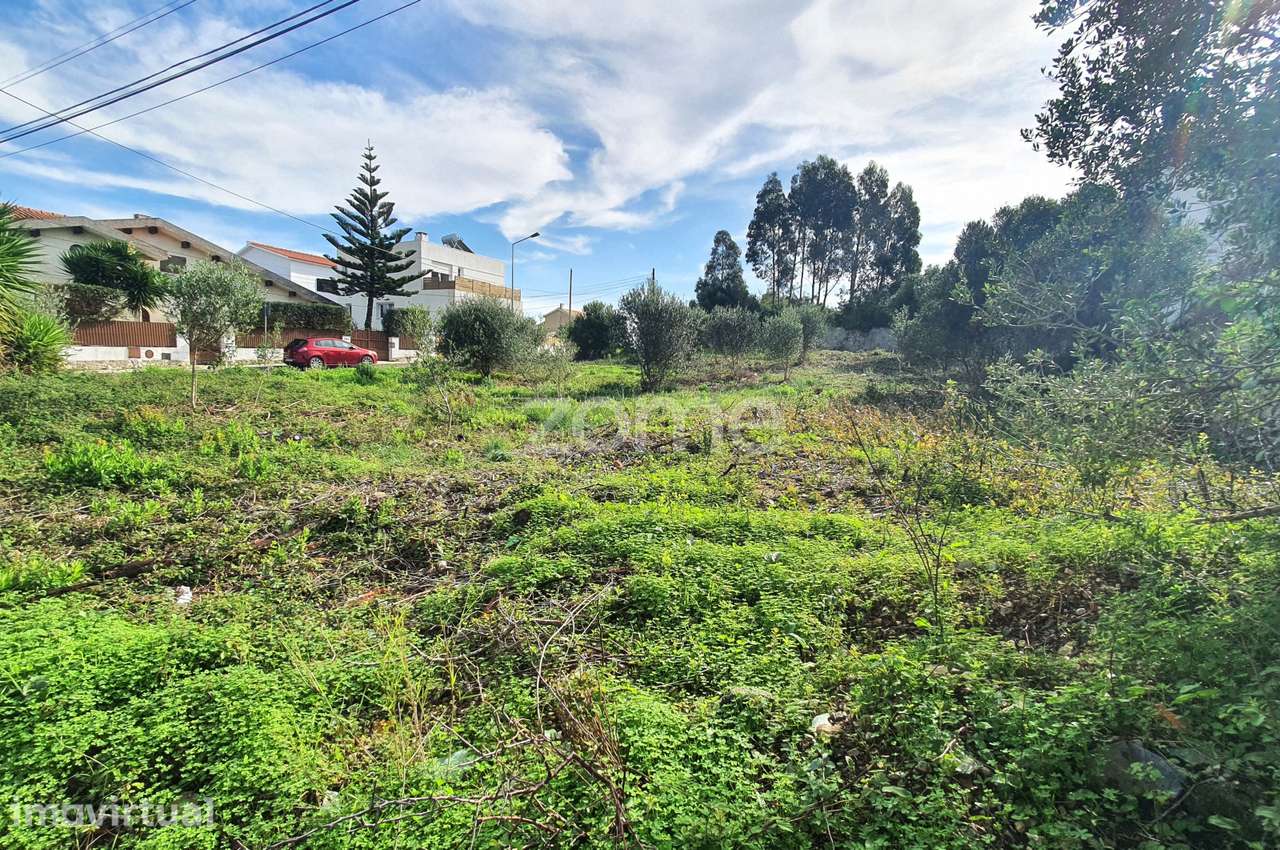 Excelente terreno para construção de moradias - Grande imagem: 4/6