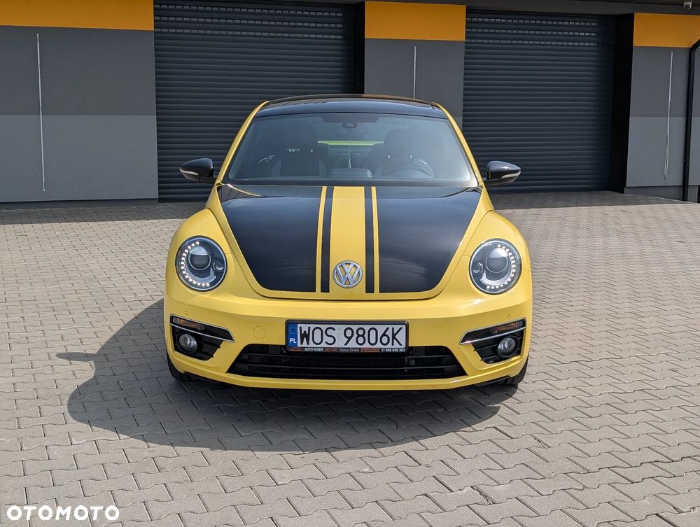 Volkswagen Beetle - 7