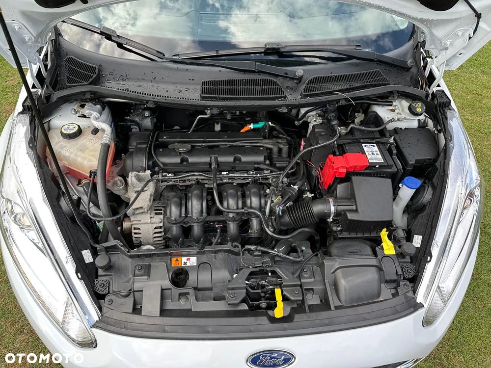 Ford Fiesta - 26