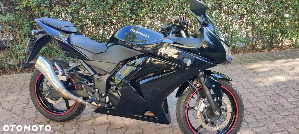 Kawasaki Ninja 250R - 10