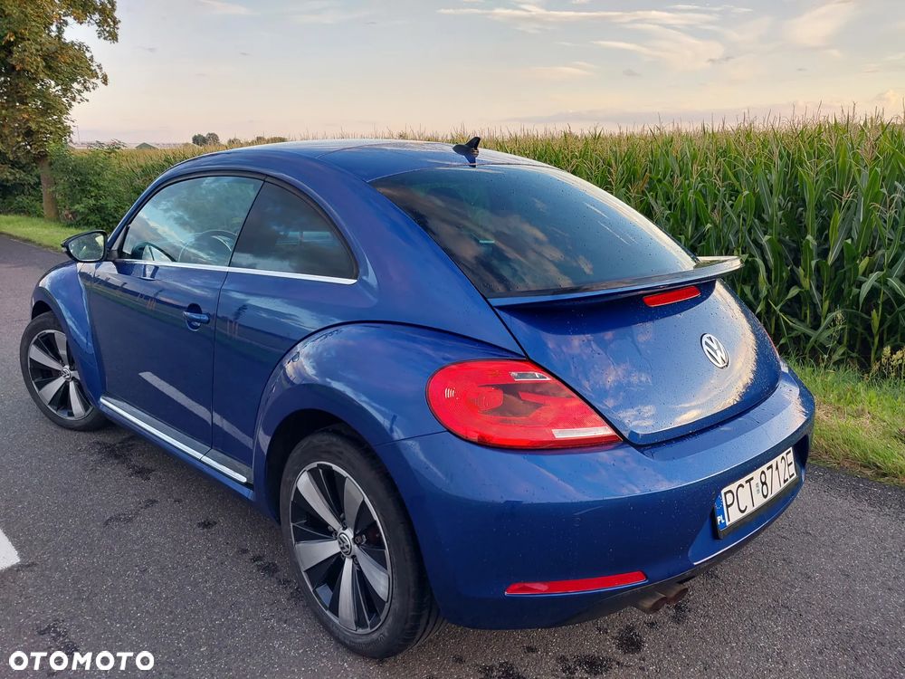Volkswagen Beetle - 4