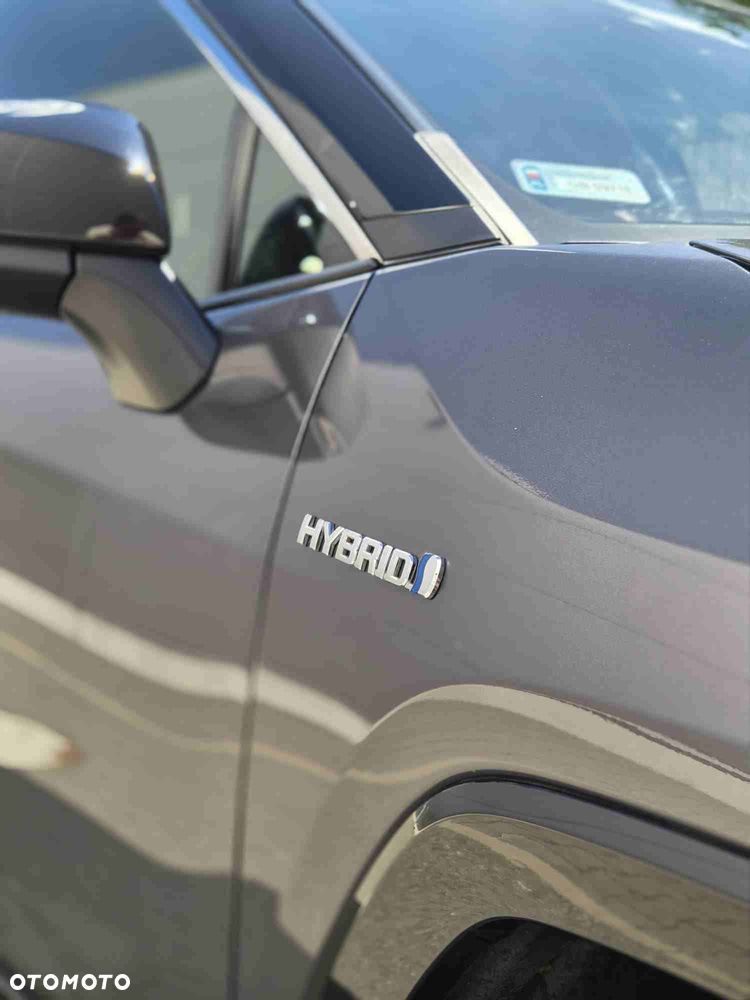 Toyota RAV4 - 39