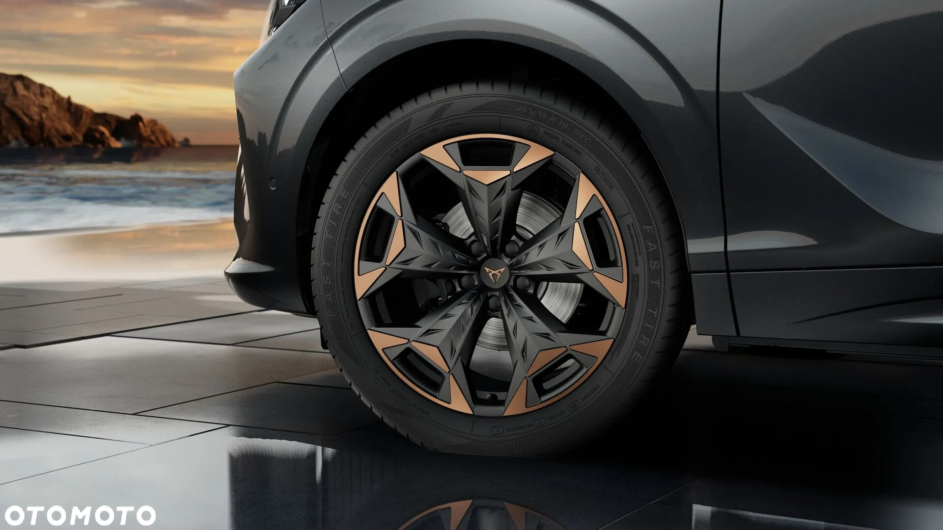 Cupra Terramar - 6