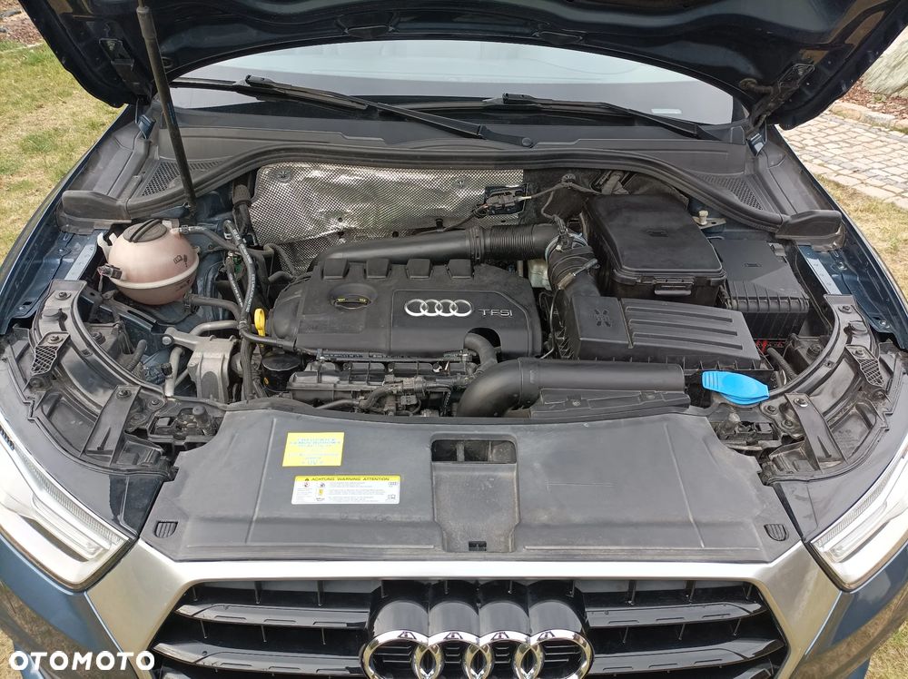 Audi Q3 - 19