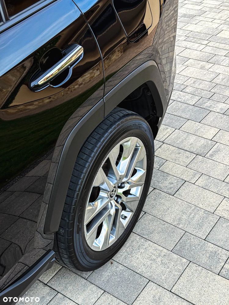 Toyota RAV4 2.5 Hybrid Executive 4x2 - 25