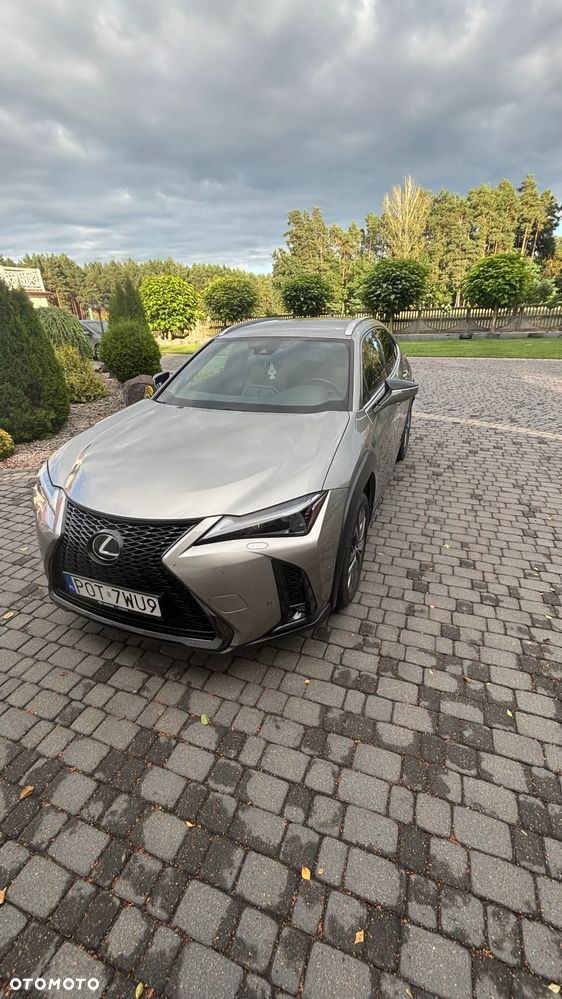 Lexus UX 250h GPF F Sport Design 2WD - 1