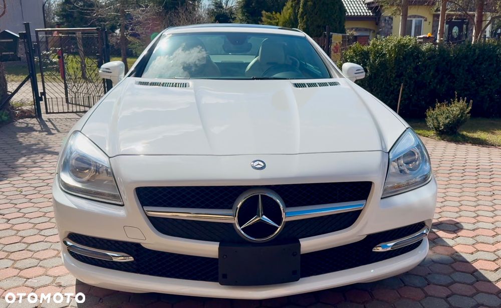 Mercedes-Benz SLK 250 (BlueEFFICIENCY) 7G-TRONIC - 13
