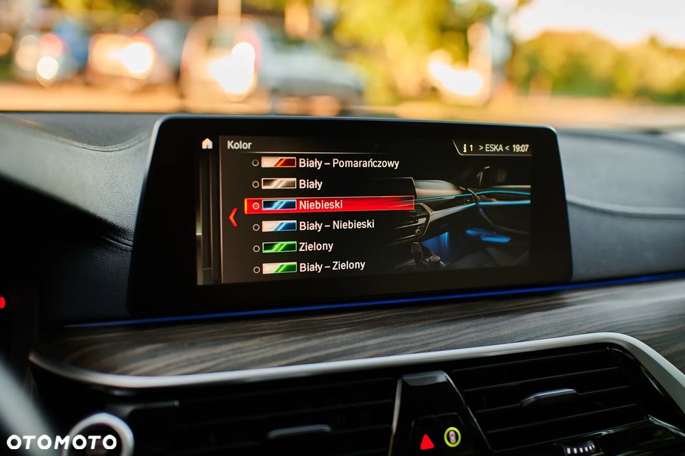 BMW Seria 5 525d Luxury Line - 30