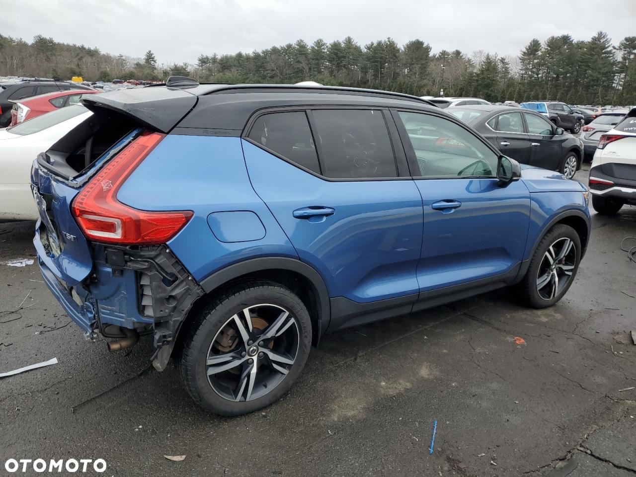 Volvo XC 40 T5 AWD Momentum - 3