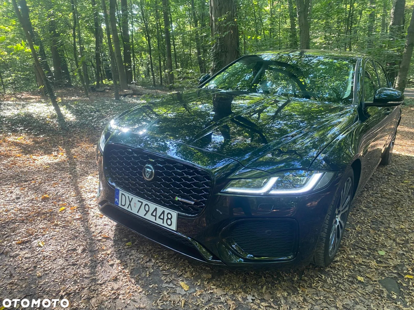 Jaguar XF P300 AWD R-Dynamic SE - 14
