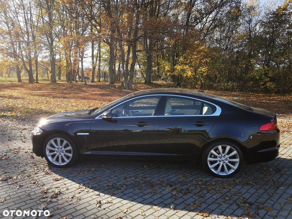 Jaguar XF 3.0 V6 D Premium Luxury - 4