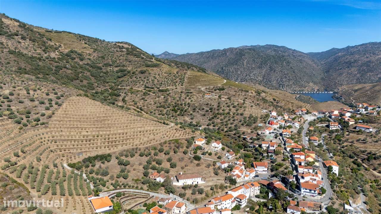 Quinta S. João da Pesqueira - Grande imagem: 5/51
