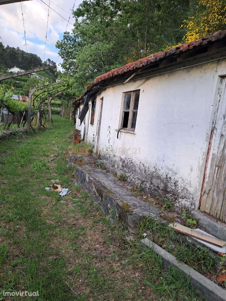 Moradia em Ruinas e terreno com aproximadamente 3600m2 em Constance, M - Grande imagem: 3/15