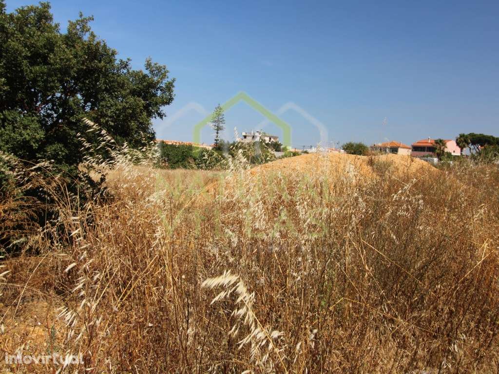 Terreno em Zona de Consolidação Urbana, Montenegro - Grande imagem: 2/3