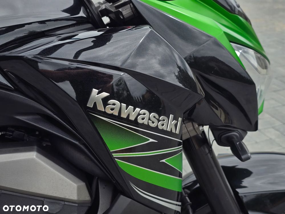 Kawasaki Z - 20