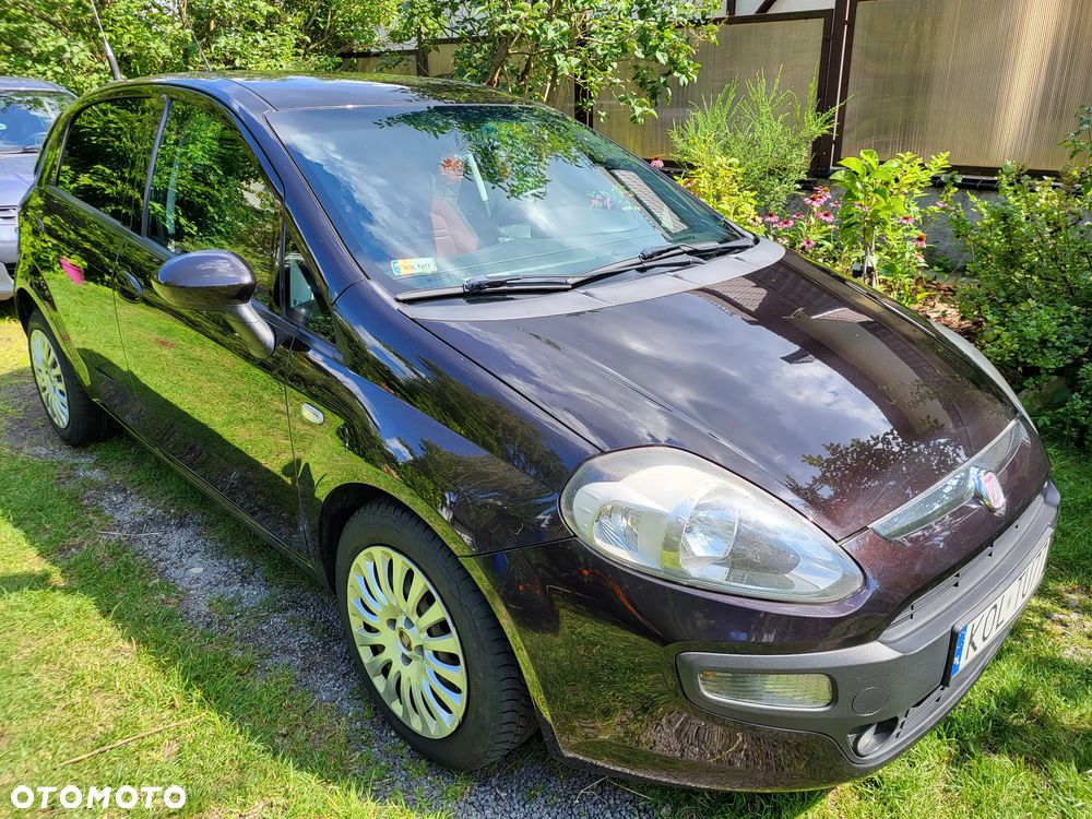 Fiat Punto - 11