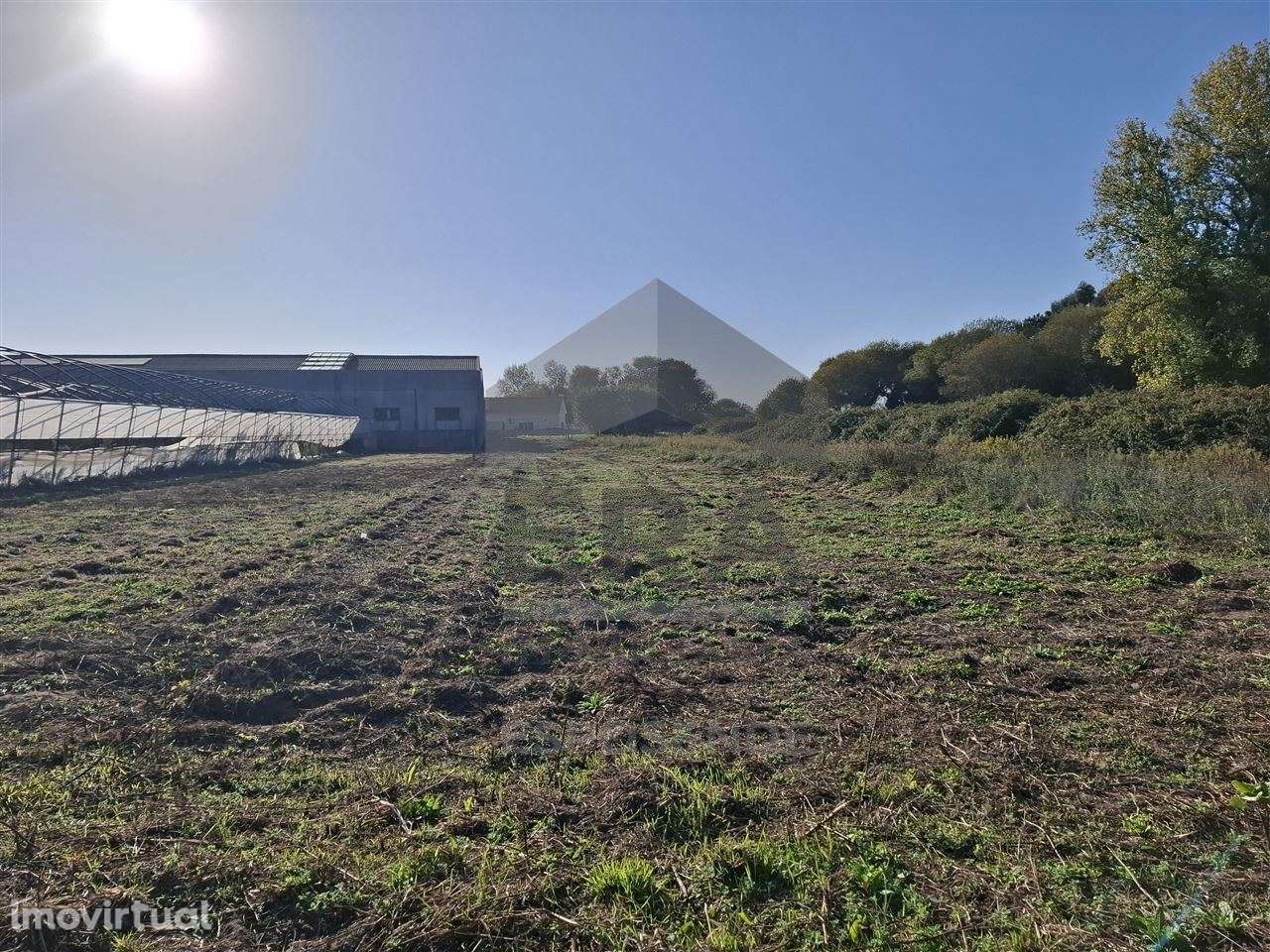 Terreno agrícola Belinho - Grande imagem: 5/7
