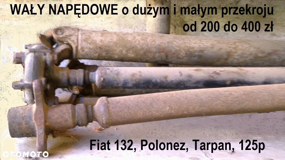 Fiat 132, Polonez 2000, Fiat 131, Argenta, 125p - 12