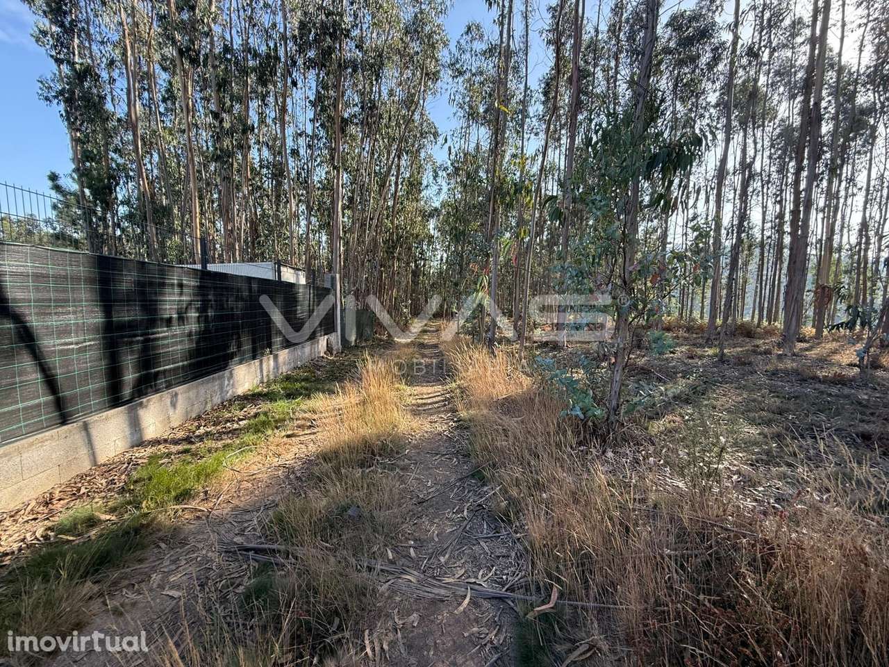 Terreno Rústico  Venda em Associação de freguesias do Vale do Neiva,Po - Grande imagem: 3/12