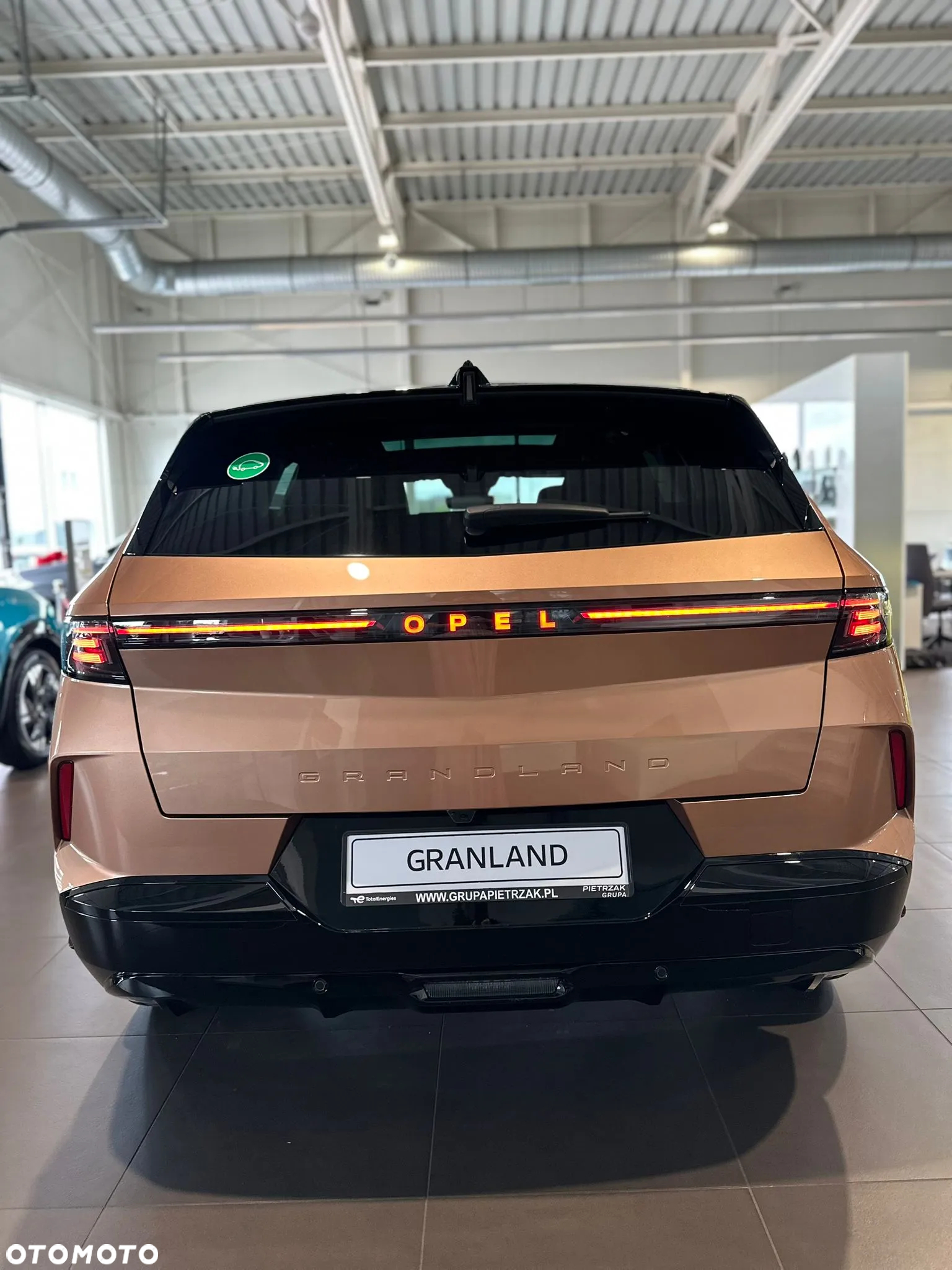Opel Grandland Electric 73kWh Standard Range GS - 5