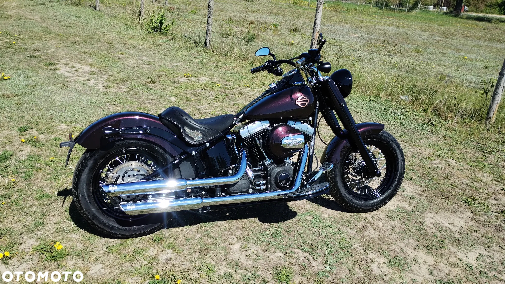 Harley-Davidson Softail Slim - 2