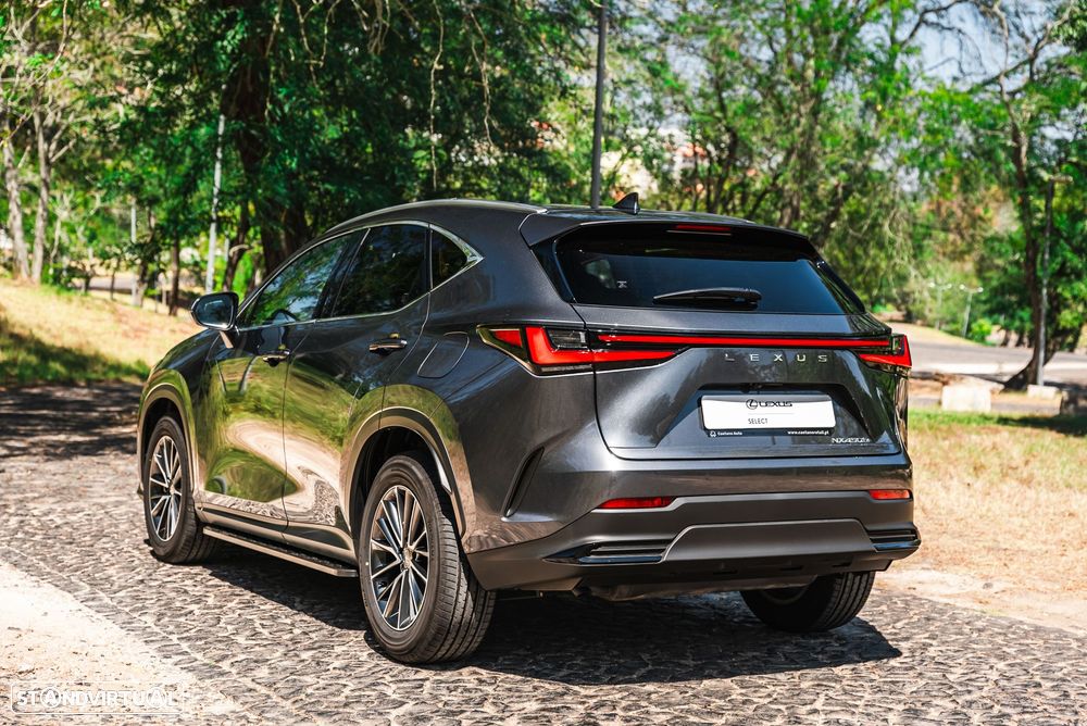 Lexus NX 450h+ - 8