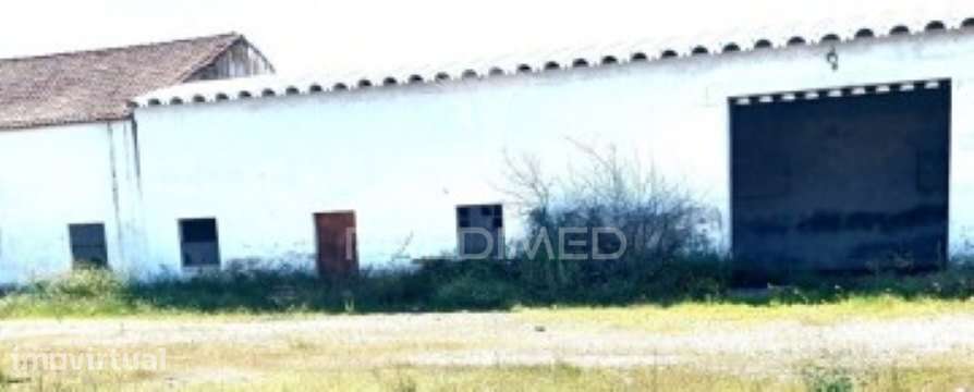 Ponte de Sor - Terreno Urbano 3.954 m2 c/Habitação e Armazém - Grande imagem: 3/14