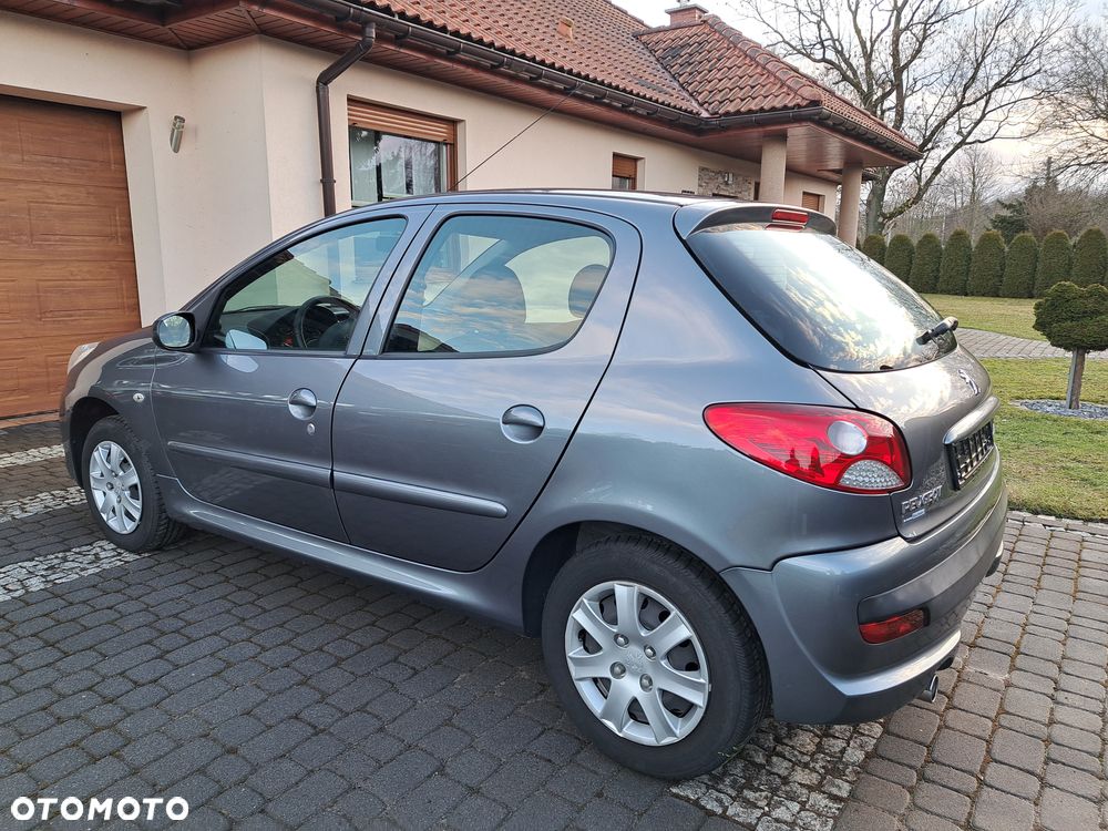 Peugeot 206 plus 60 - 11