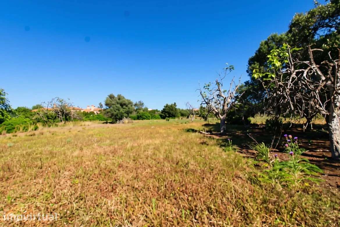 Dois terrenos rústicos planos, vendidos em conjunto, com 7120 m2 - Grande imagem: 5/10
