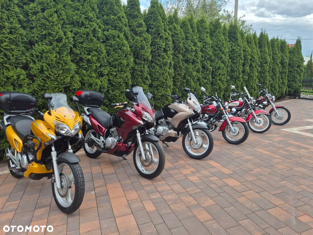 Honda Shadow - 20