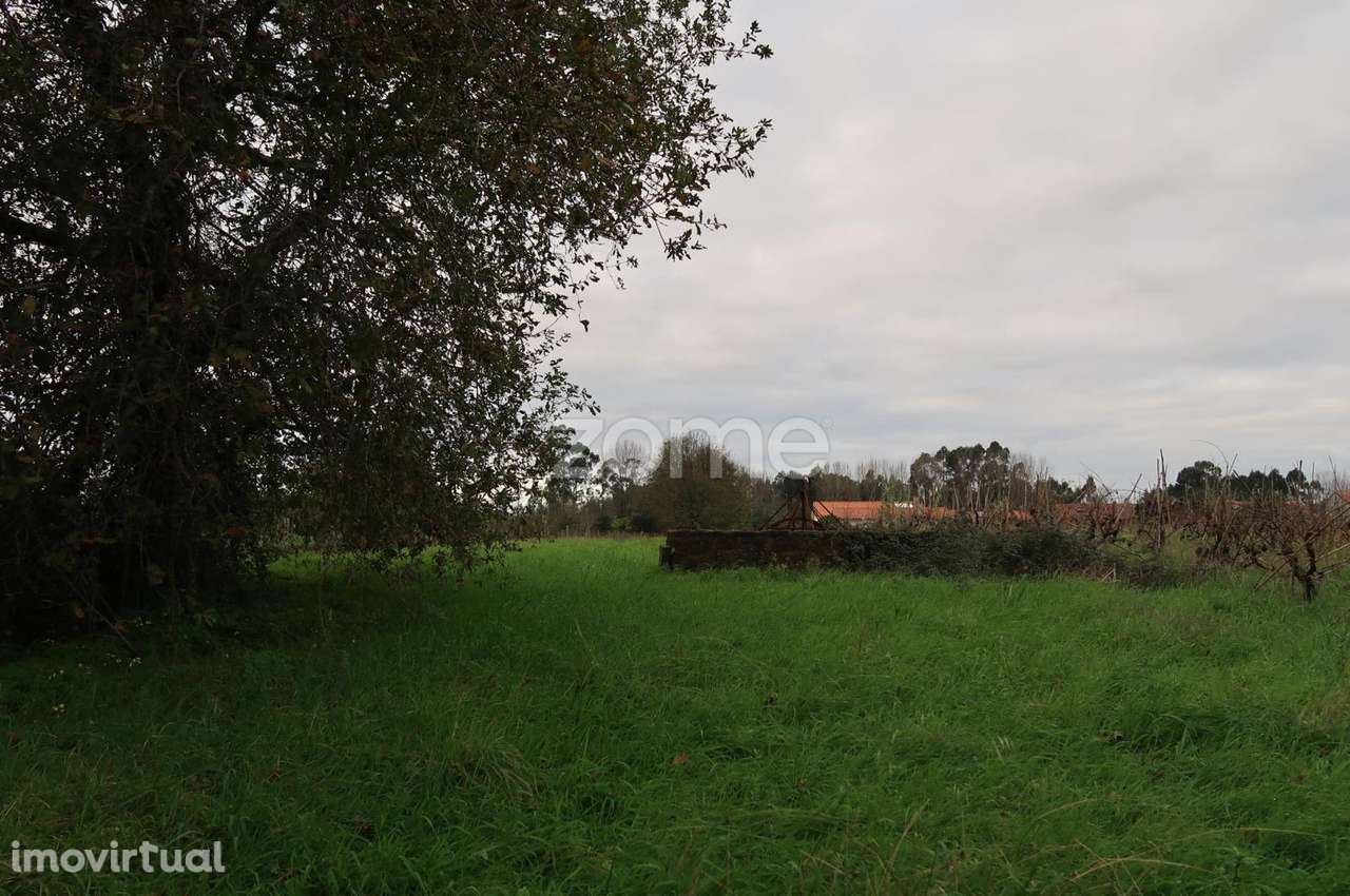 Terreno para construção com 1300m2 - Grande imagem: 4/15