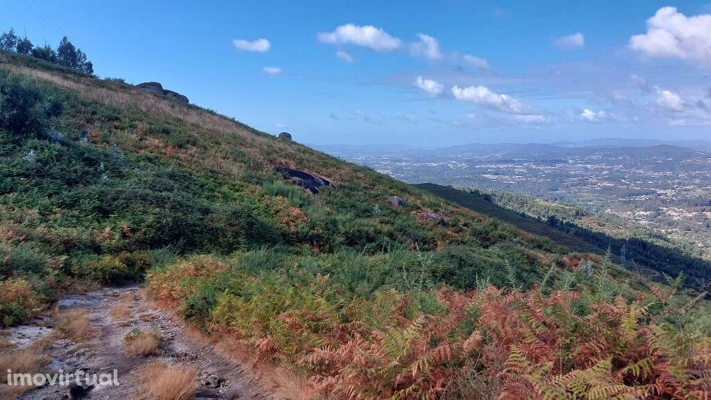 Bouça - Sequeiros - Grande imagem: 2/13