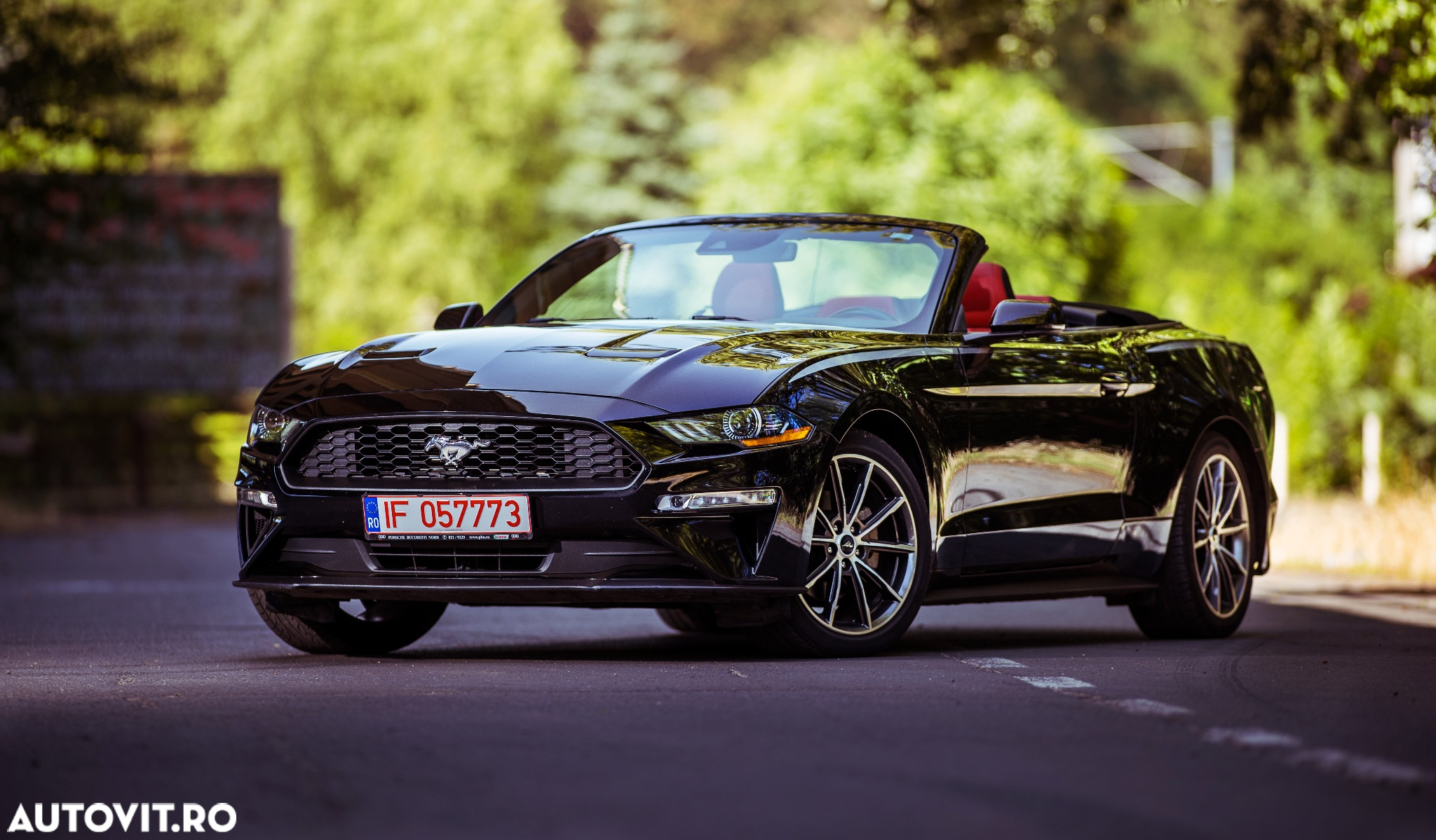 Ford Mustang Cabrio 2.3 Eco Boost - 2