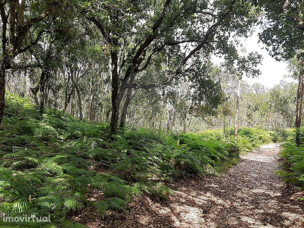 Terreno  para venda - Grande imagem: 5/9