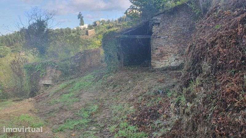 Terreno 1,2 ha com ruínas e viabilidade de construção – Esculca/Côja - Grande imagem: 2/12