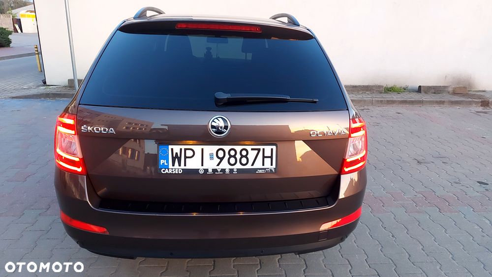 Skoda Octavia - 5