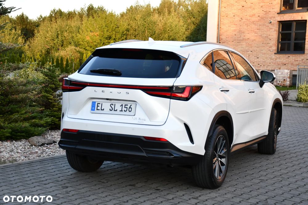 Lexus NX - 18