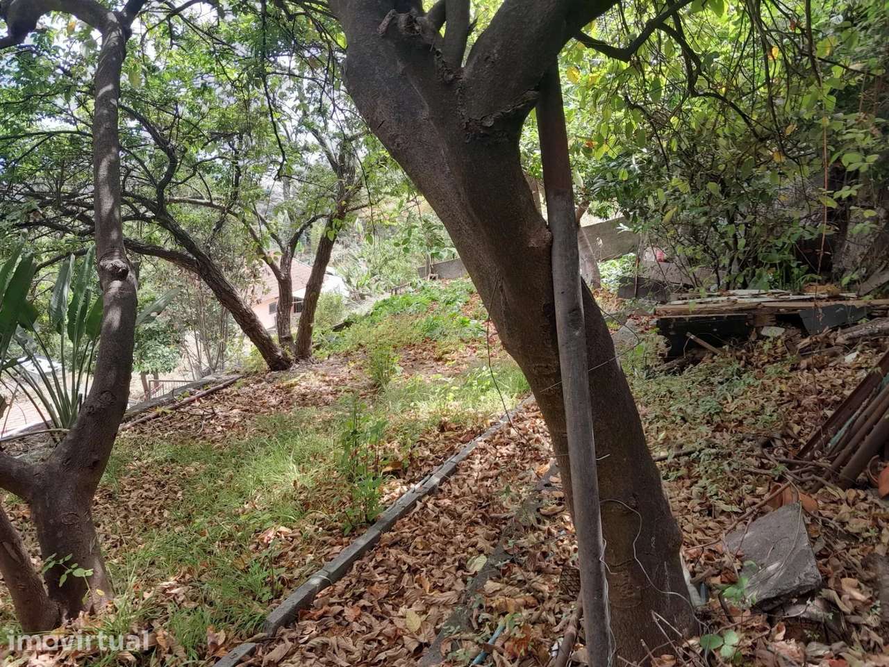 Moradia T2 com terreno e vista mar em Santo António, Funchal - Grande imagem: 5/26