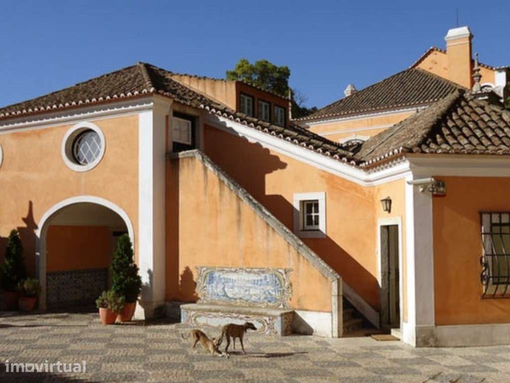 Palacete, jardim privado de 2.780 m2, Paço Lumiar - Grande imagem: 5/30