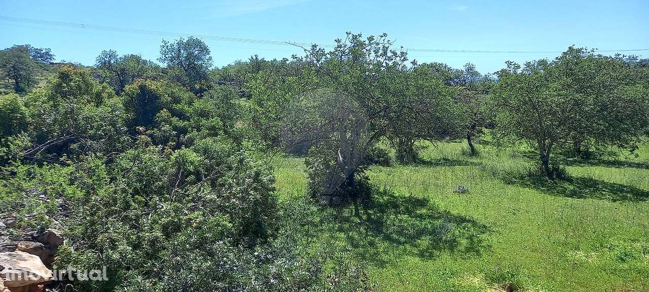 Terreno  para venda - Grande imagem: 2/4