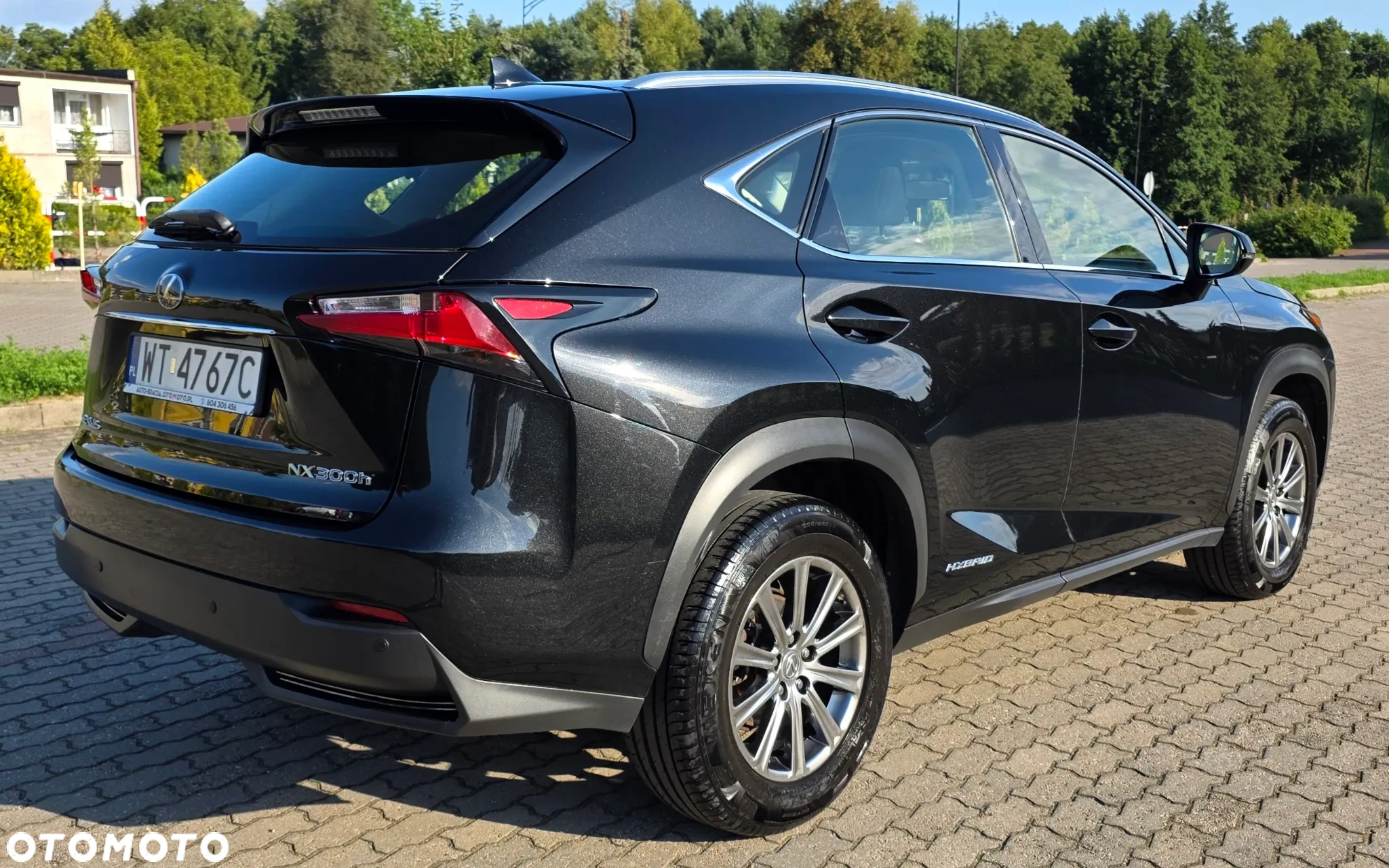 Lexus NX 300h Elite 2WD - 6