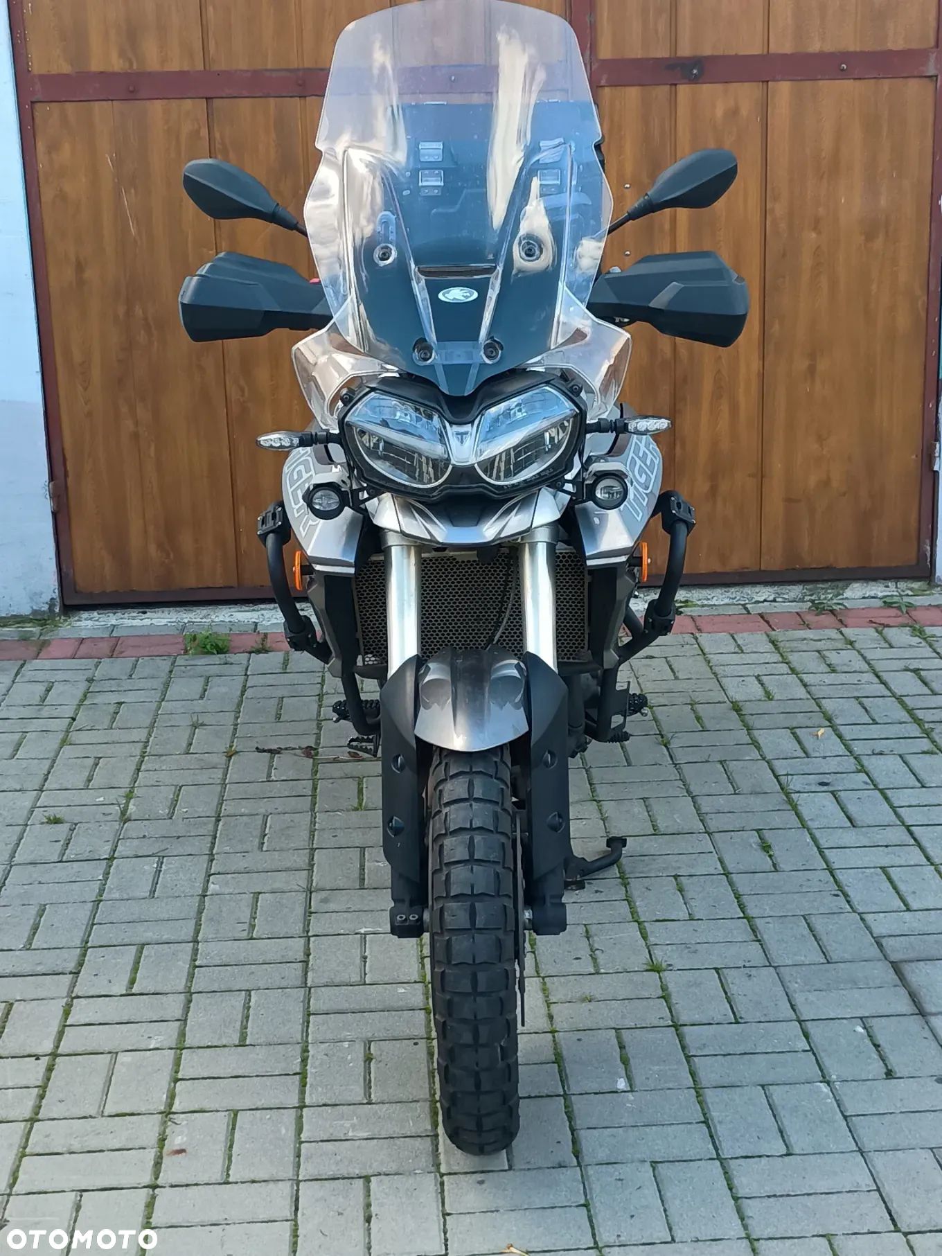 Triumph Tiger - 1