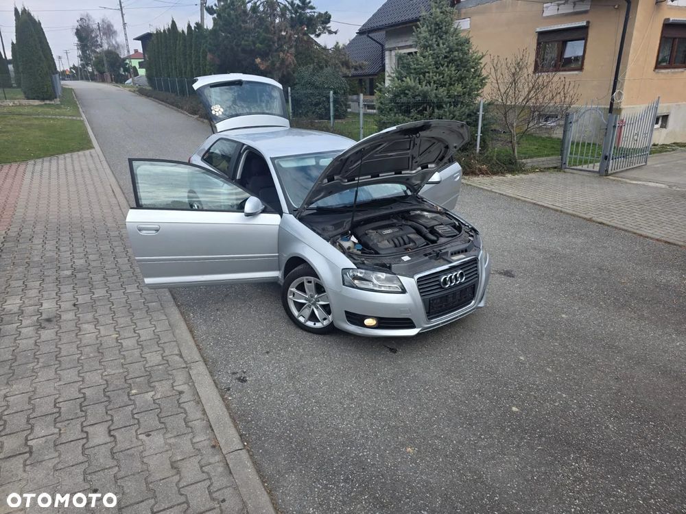 Audi A3 3-drzwiowe 1.6 Ambition - 23