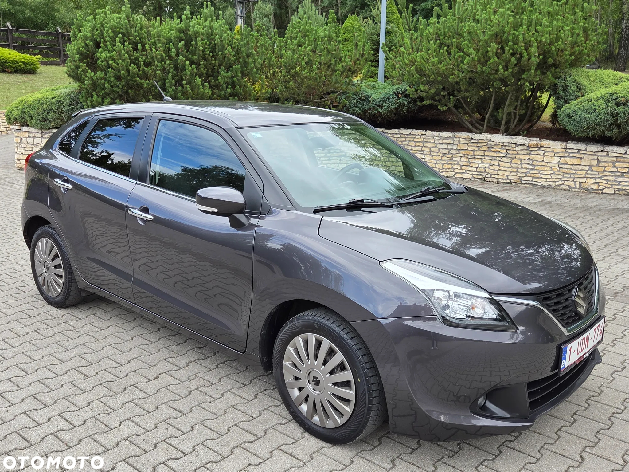 Suzuki Baleno - 14